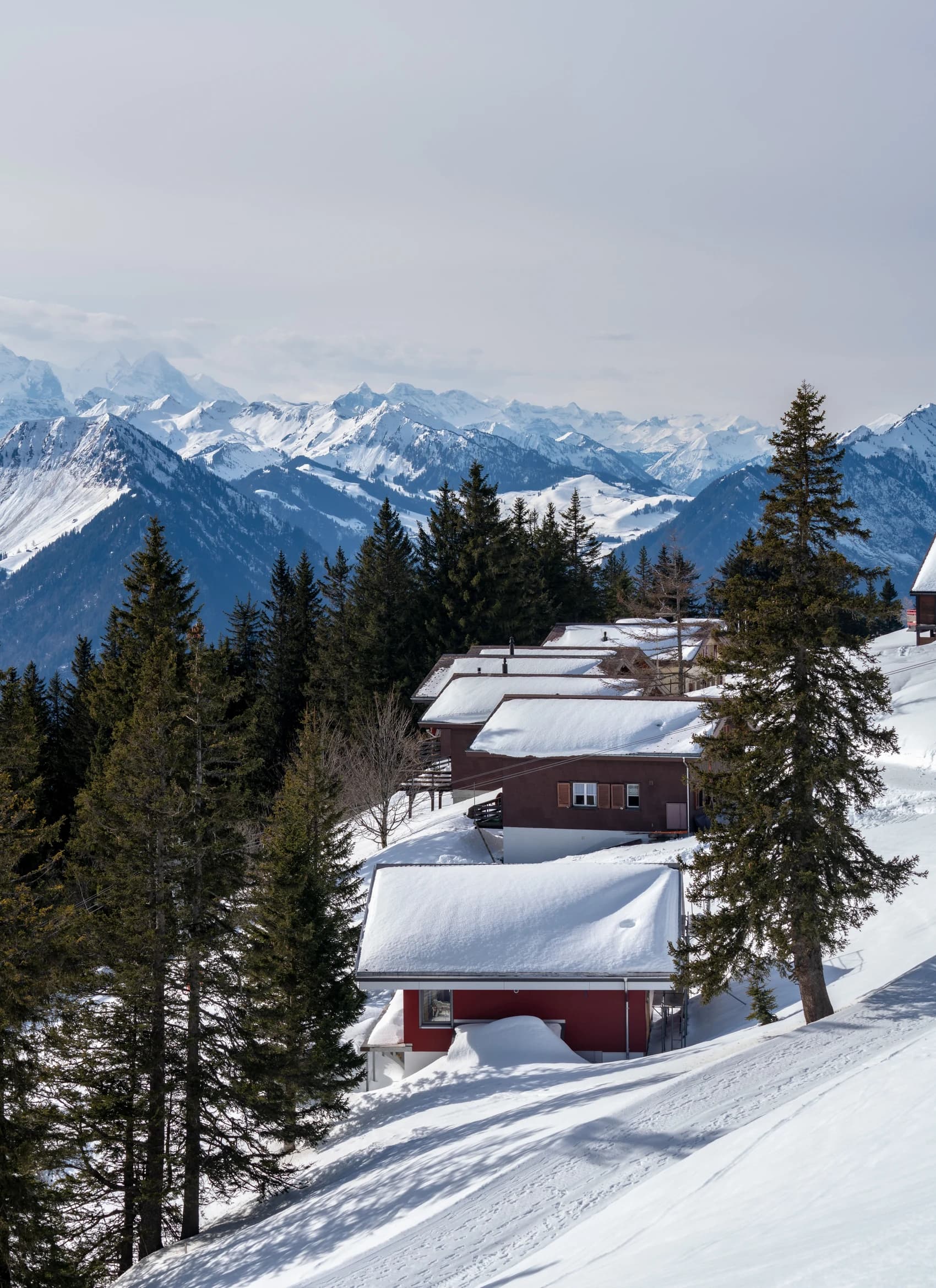 Steiles Ziegeldach eines Alpenhauses vor verschneiter Bergkulisse im Allgäu.