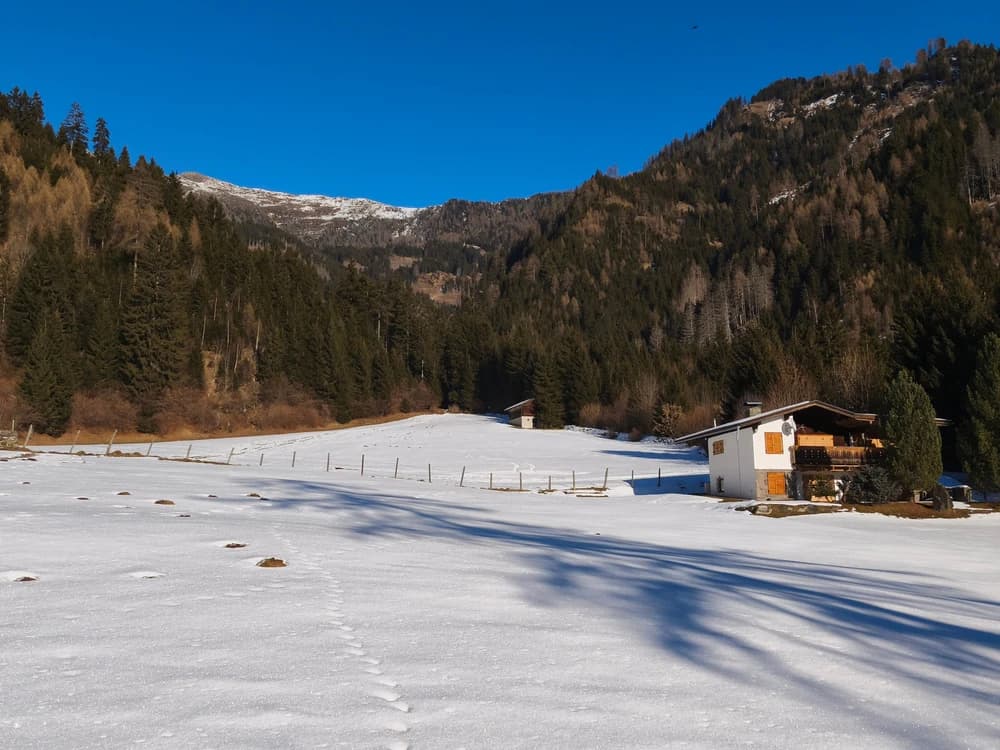 Steildach eines Berghofs in Oberstdorf mit neuer Ziegeldeckung und Schneefanggittern.